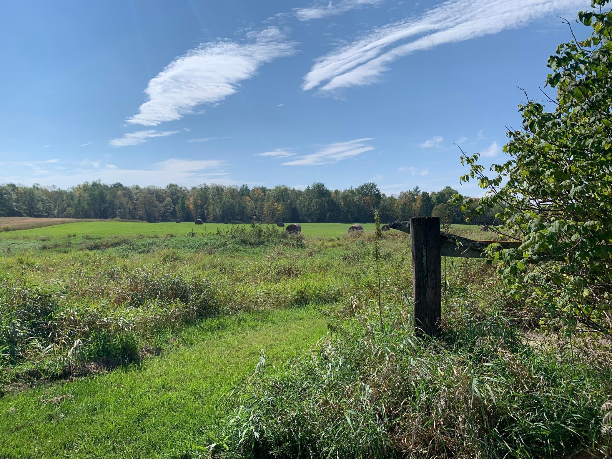 14331 395th Lane McGregor, MN 55760 - Photo 9 of 81