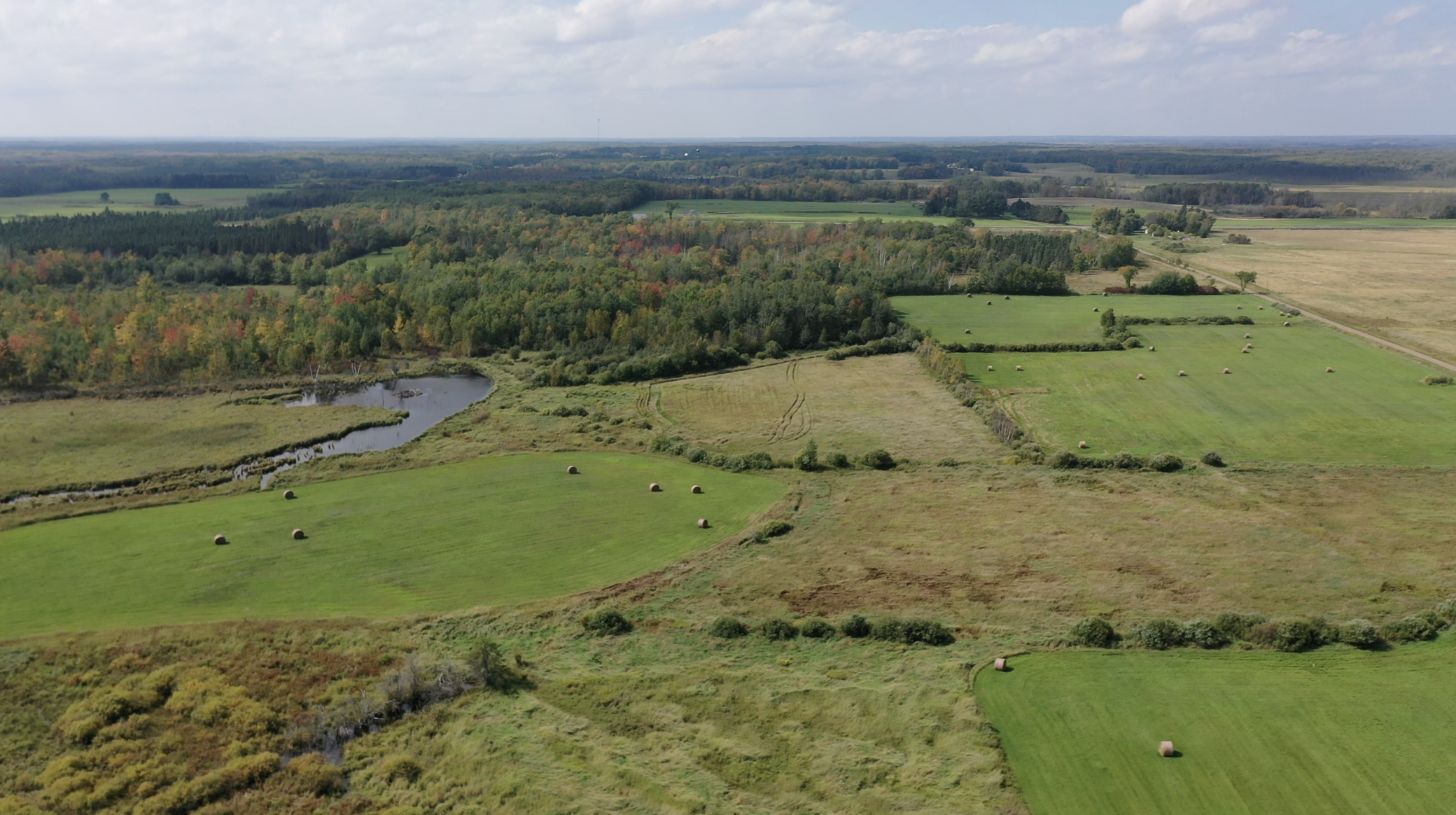 14331 395th Lane McGregor, MN 55760 - Photo 10 of 81
