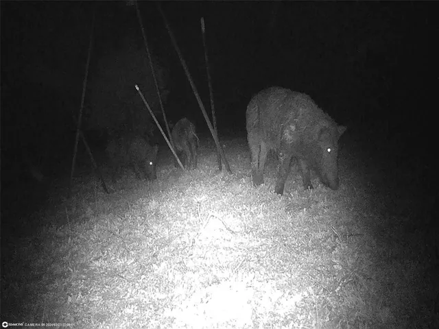 $386,000 | 16 South Highway 16, San Saba, TX 76877