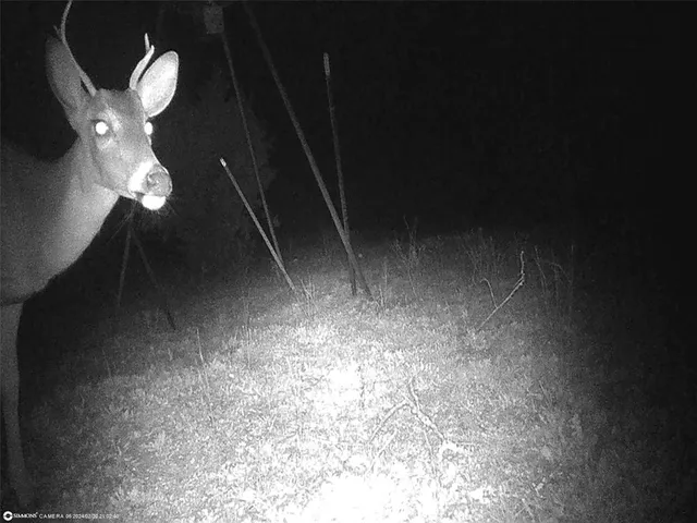 $386,000 | 16 South Highway 16, San Saba, TX 76877