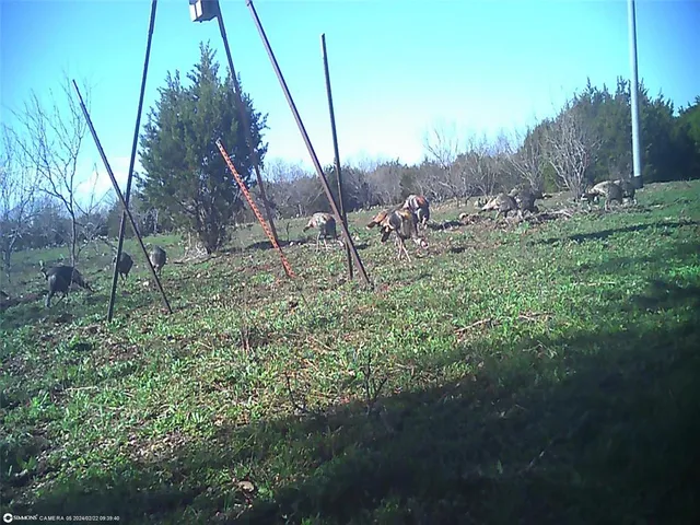 $386,000 | 16 South Highway 16, San Saba, TX 76877