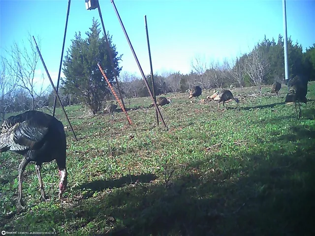 $386,000 | 16 South Highway 16, San Saba, TX 76877