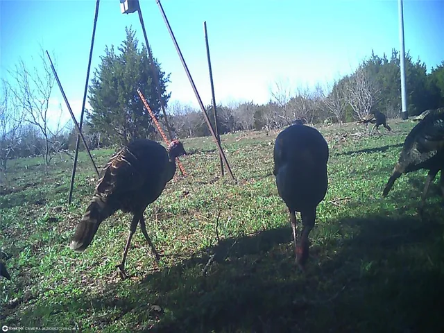 $386,000 | 16 South Highway 16, San Saba, TX 76877