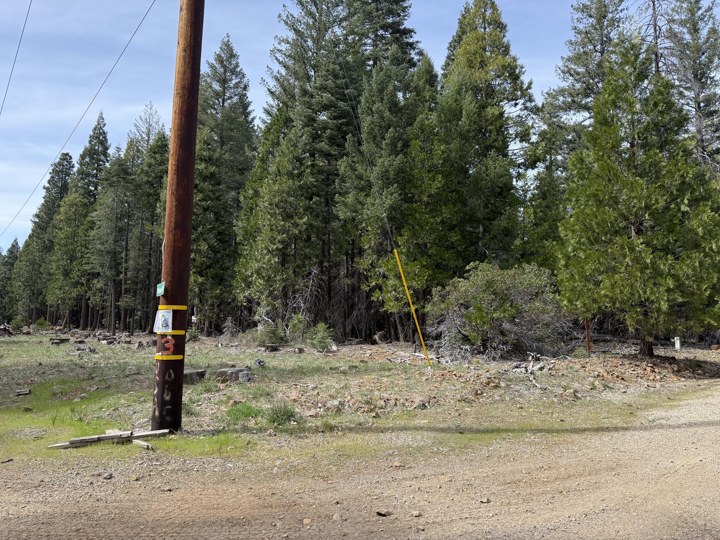 0 Westward Ho Road Shingletown, CA 96088 - Photo 1 of 9 IMG_3157