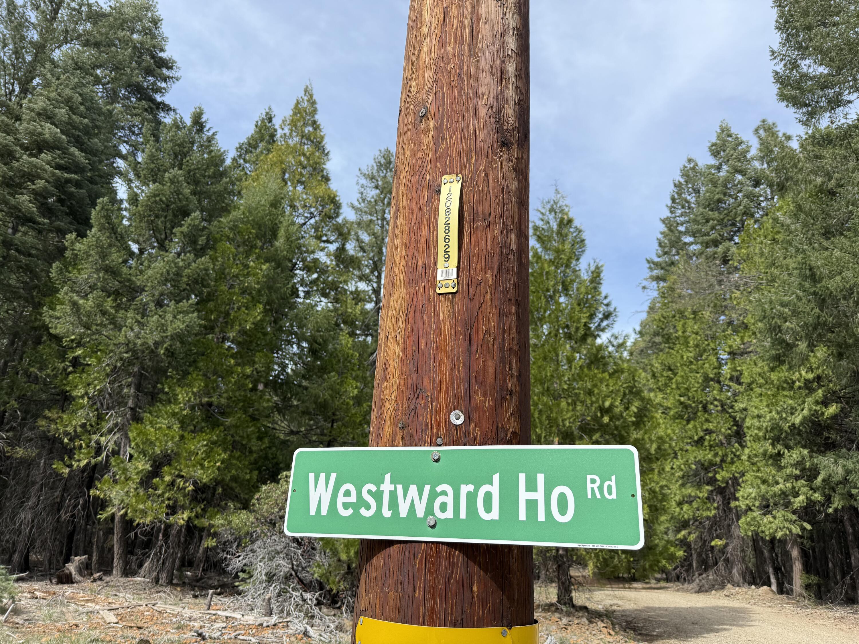0 Westward Ho Road Shingletown, CA 96088 - Photo 2 of 9 IMG_3156