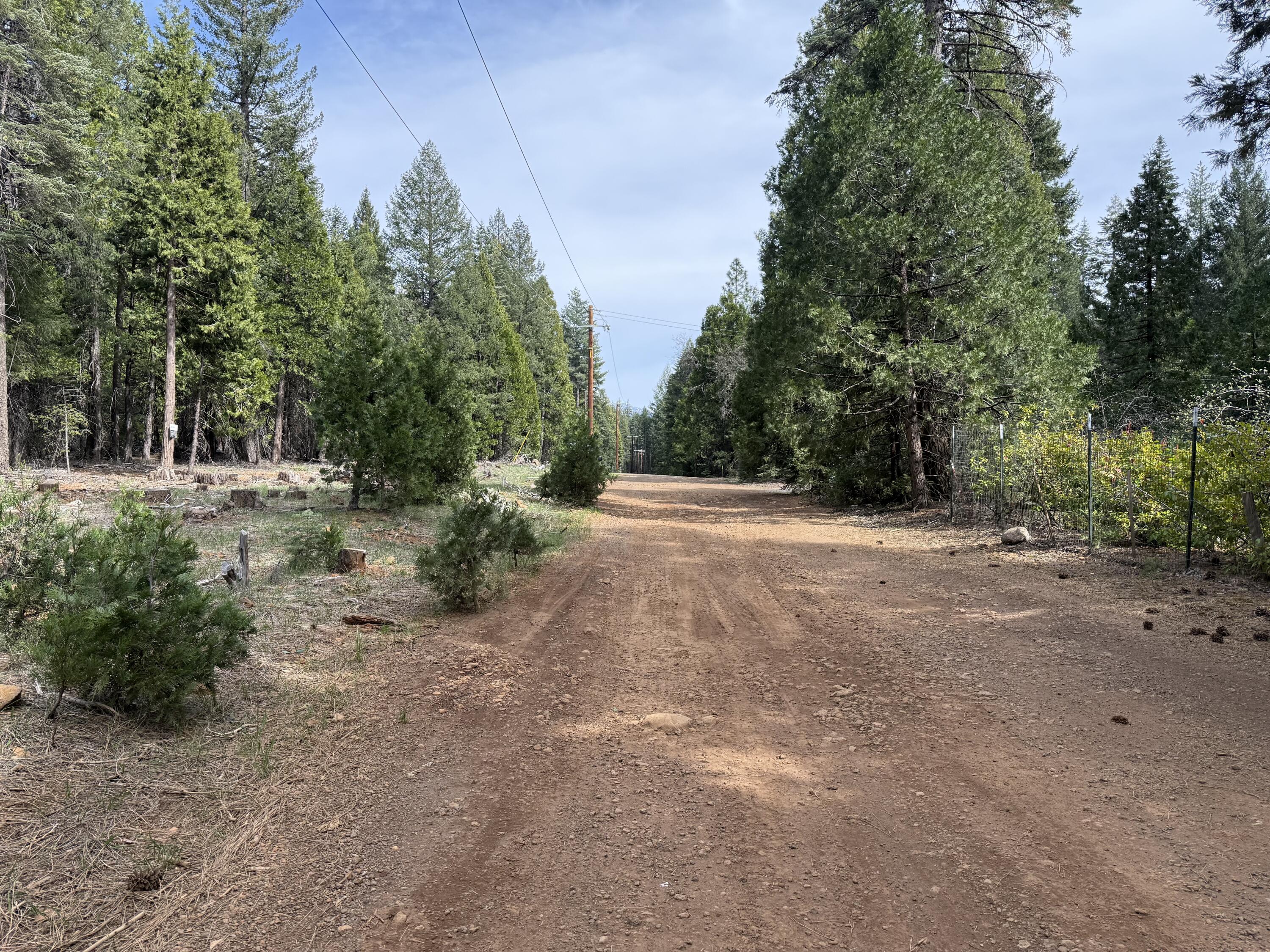 0 Westward Ho Road Shingletown, CA 96088 - Photo 3 of 9 IMG_3163