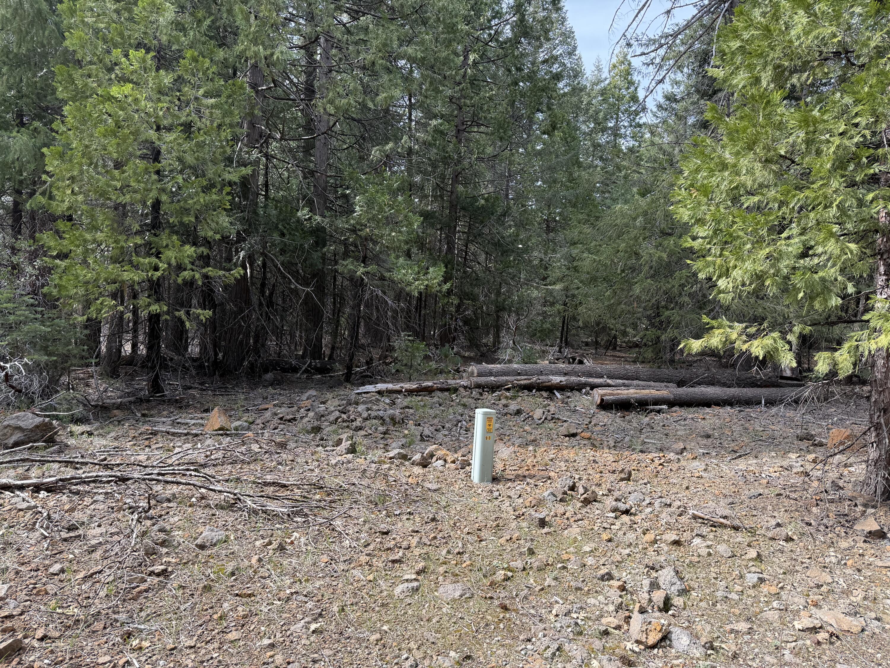 0 Westward Ho Road Shingletown, CA 96088 - Photo 5 of 9 IMG_3158