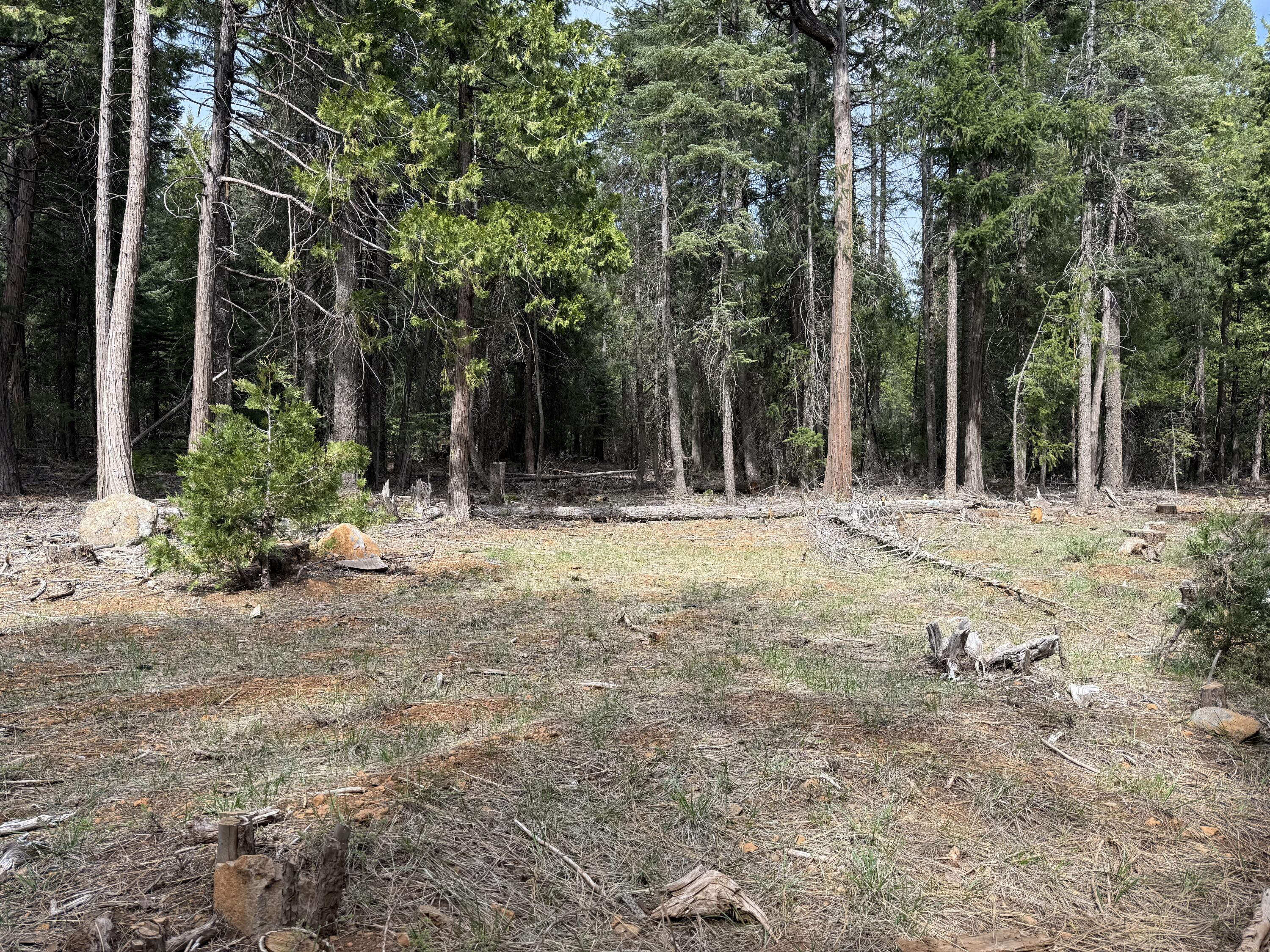 0 Westward Ho Road Shingletown, CA 96088 - Photo 6 of 9 IMG_3162
