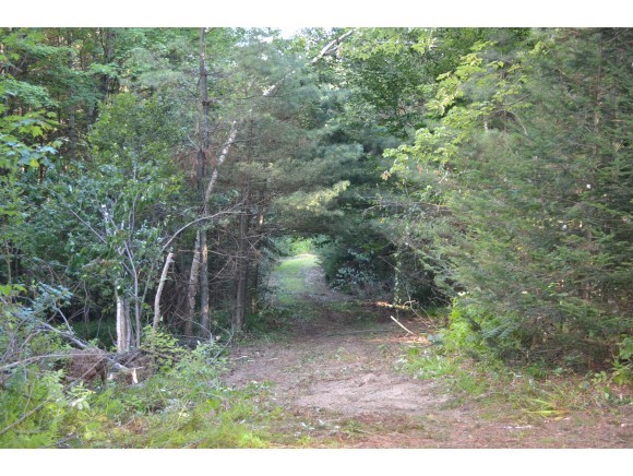 Lot #41 Gendron Road Jay, VT 05859 - Photo 2 of 4 Gallery Image 2