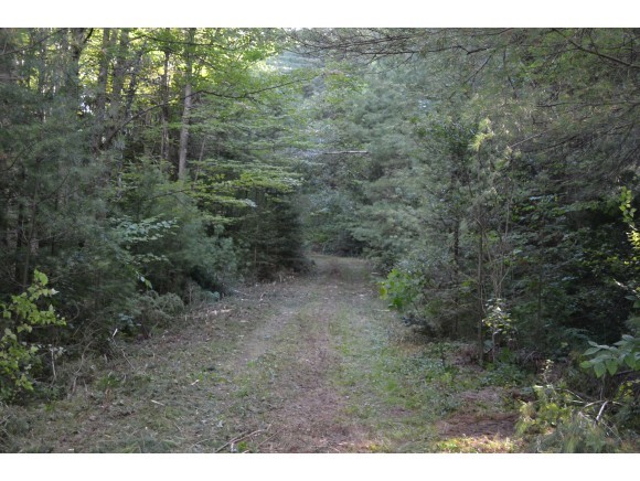 Lot #41 Gendron Road Jay, VT 05859 - Photo 3 of 4 Gallery Image 3