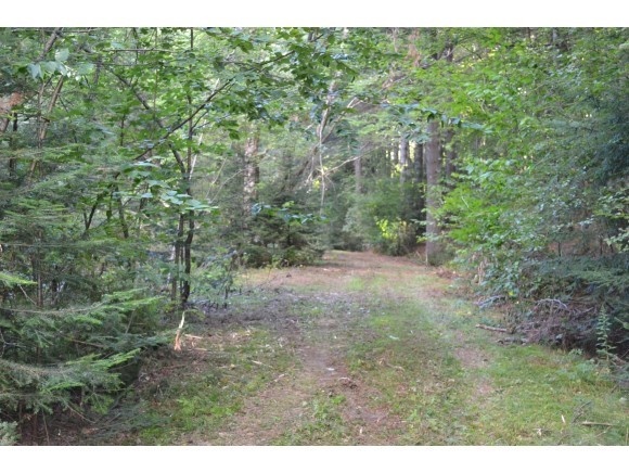 Lot #41 Gendron Road Jay, VT 05859 - Photo 4 of 4 Gallery Image 4