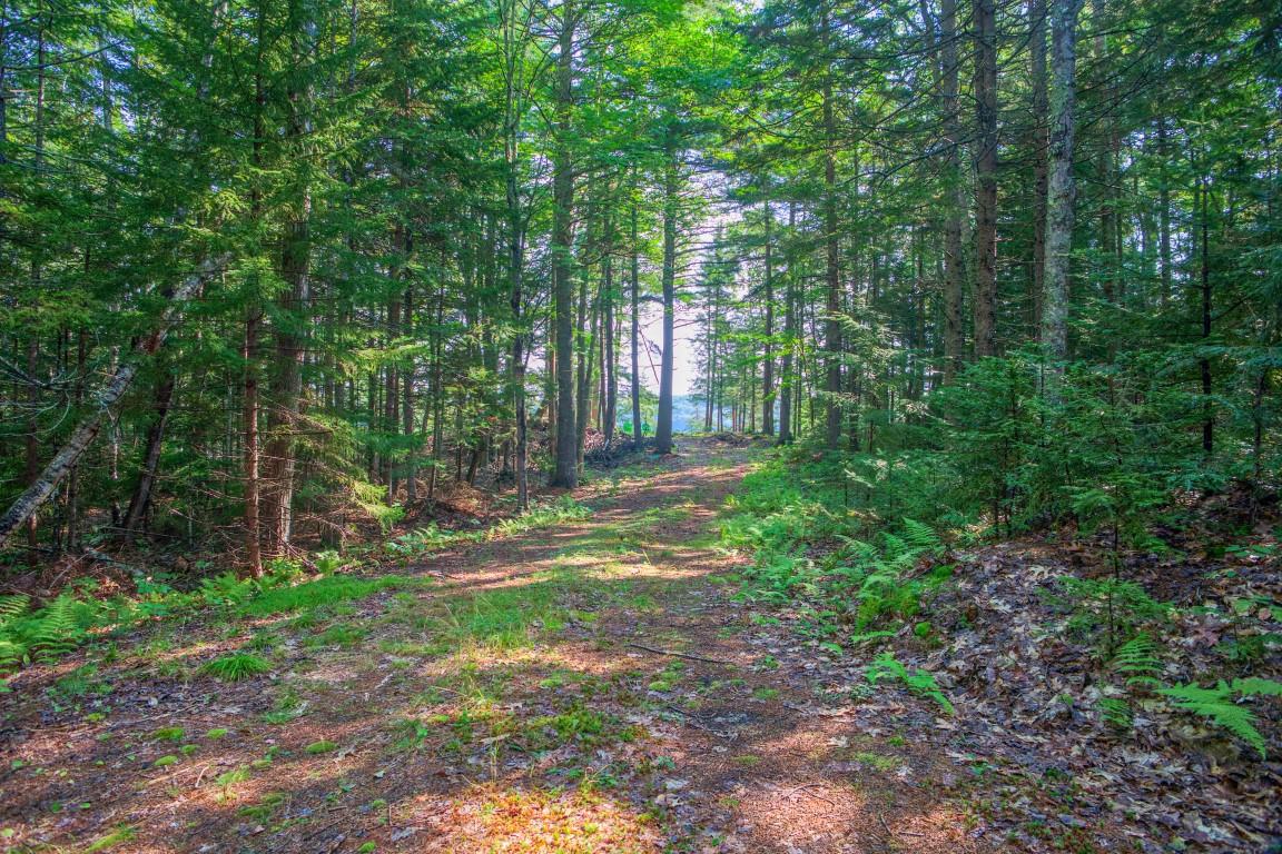 201 Steves Road Boothbay, ME 04537 - Photo 4 of 12 4