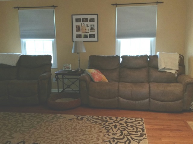 2265 East 20th Road Grand Ridge, IL 61325 - Photo 8 of 25 a living room with furniture and a window