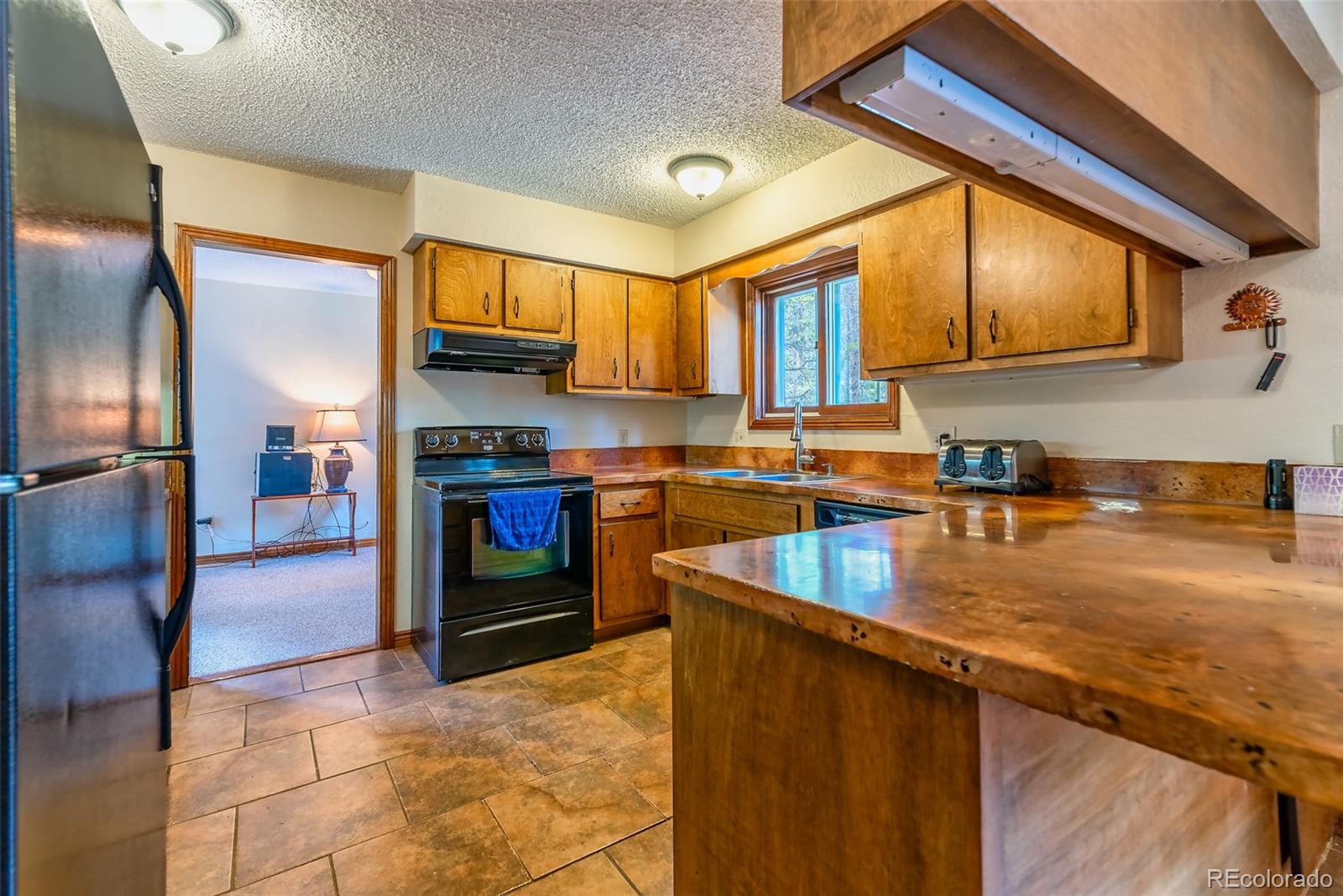 103 County Road 4C-E Leadville, CO 80461 - Photo 17 of 40 a kitchen with stainless steel appliances granite countertop a refrigerator a stove and a sink with granite countertops