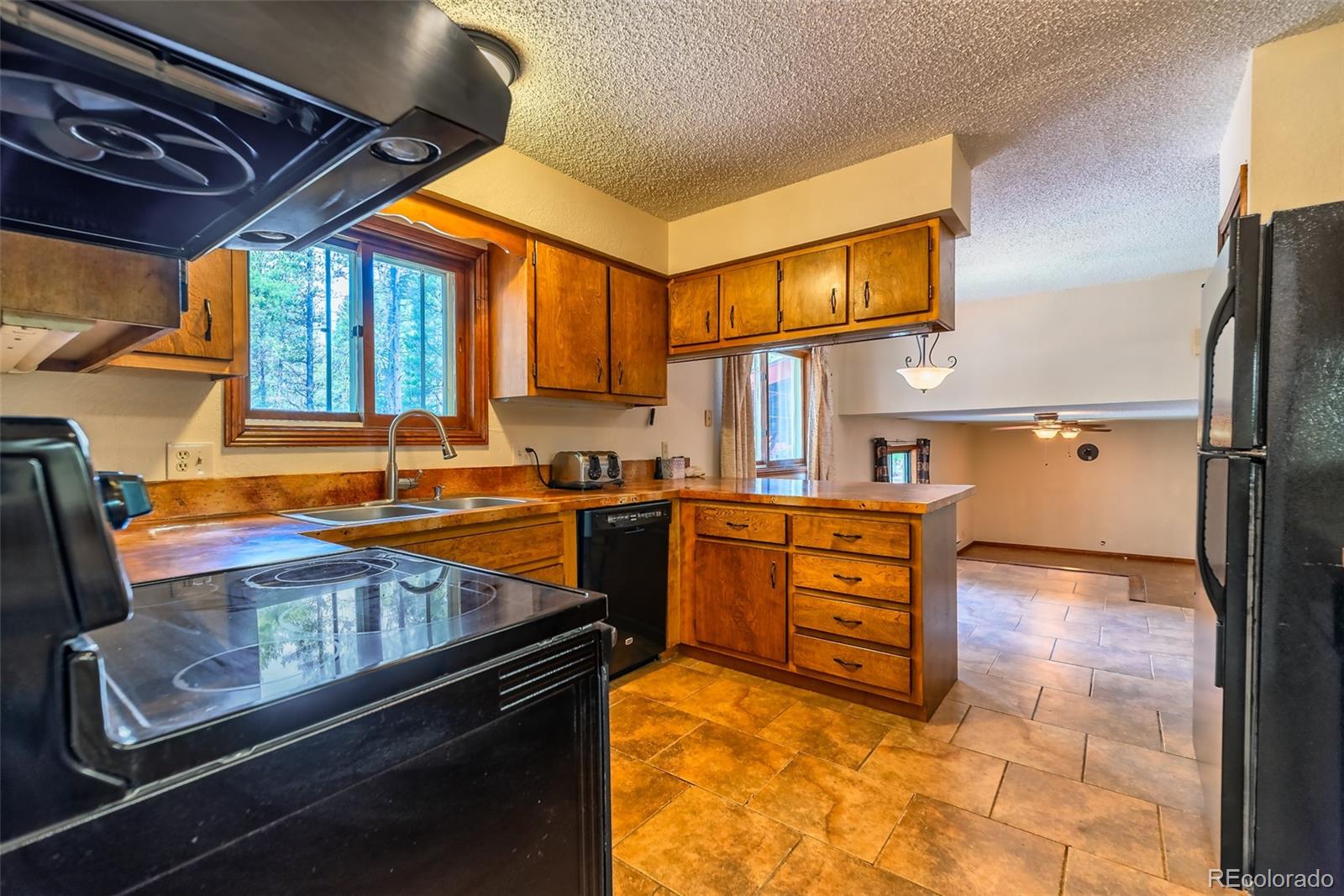 103 County Road 4C-E Leadville, CO 80461 - Photo 20 of 40 a kitchen with a refrigerator sink and cabinets