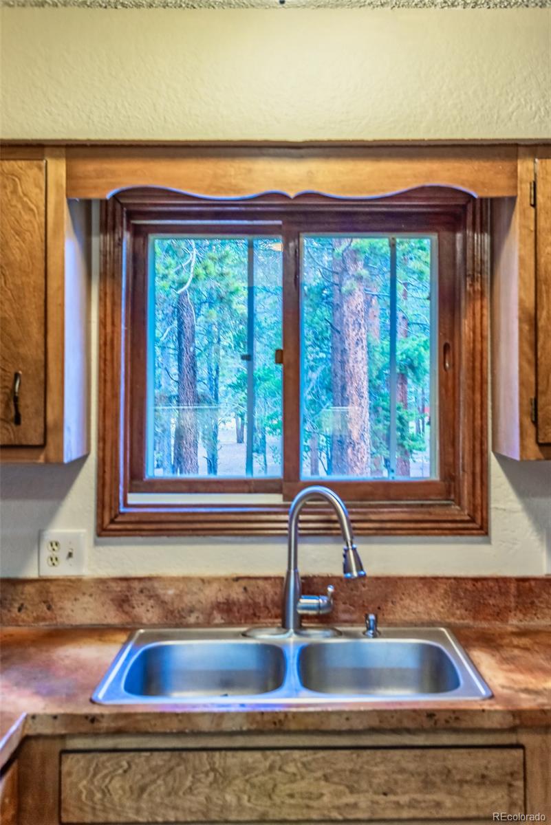 103 County Road 4C-E Leadville, CO 80461 - Photo 21 of 40 a view of a sink and a window