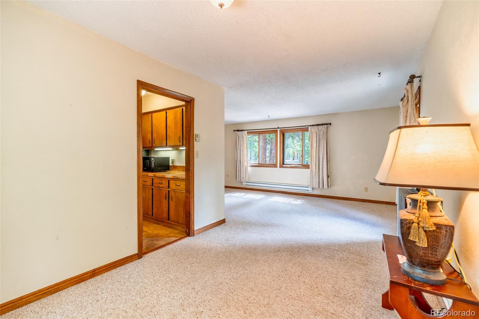 103 County Road 4C-E Leadville, CO 80461 - Photo 23 of 40 a view of a room with gym equipment