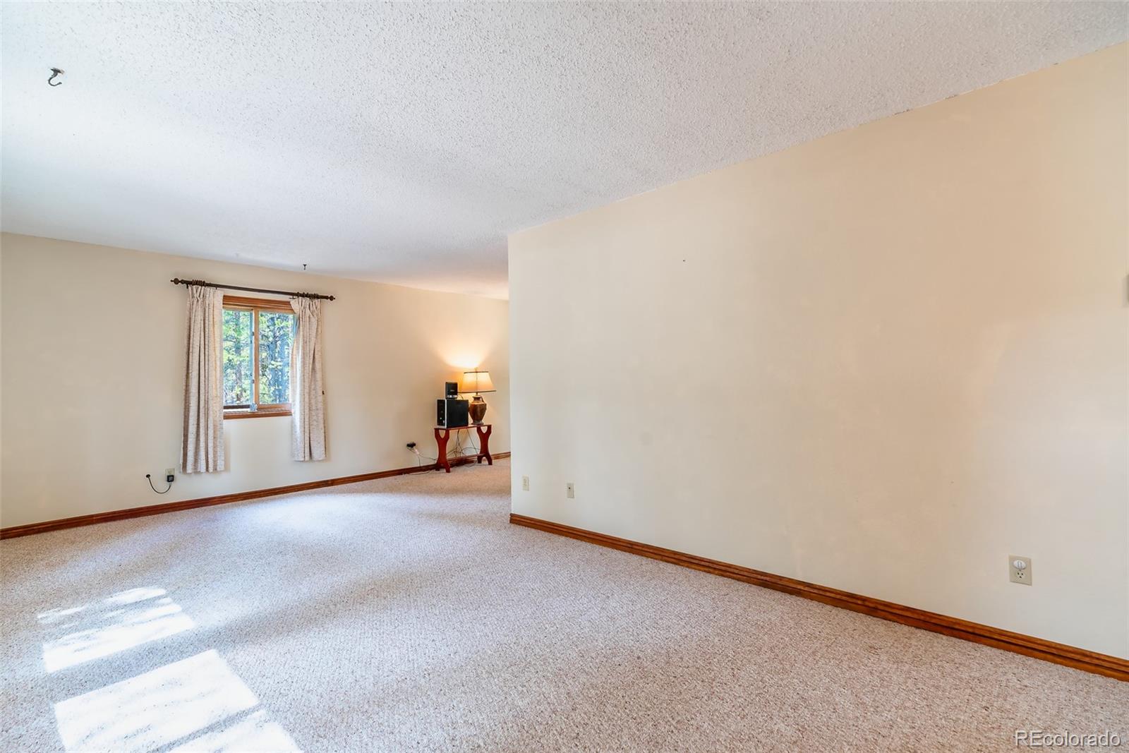 103 County Road 4C-E Leadville, CO 80461 - Photo 25 of 40 an empty room with windows