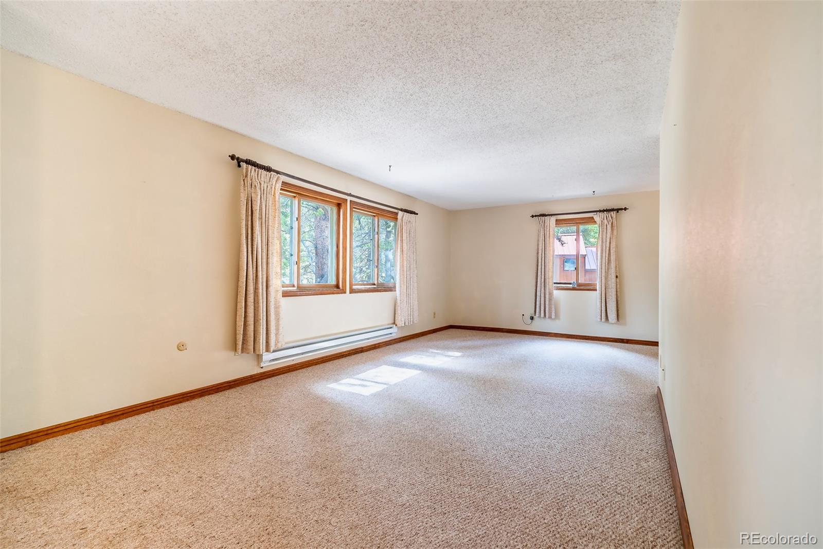 103 County Road 4C-E Leadville, CO 80461 - Photo 26 of 40 an empty room with windows
