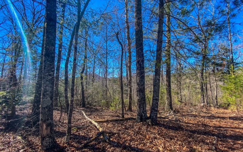 42 Blue Ridge Cashiers, NC 28717 - Photo 1 of 1 Main View
