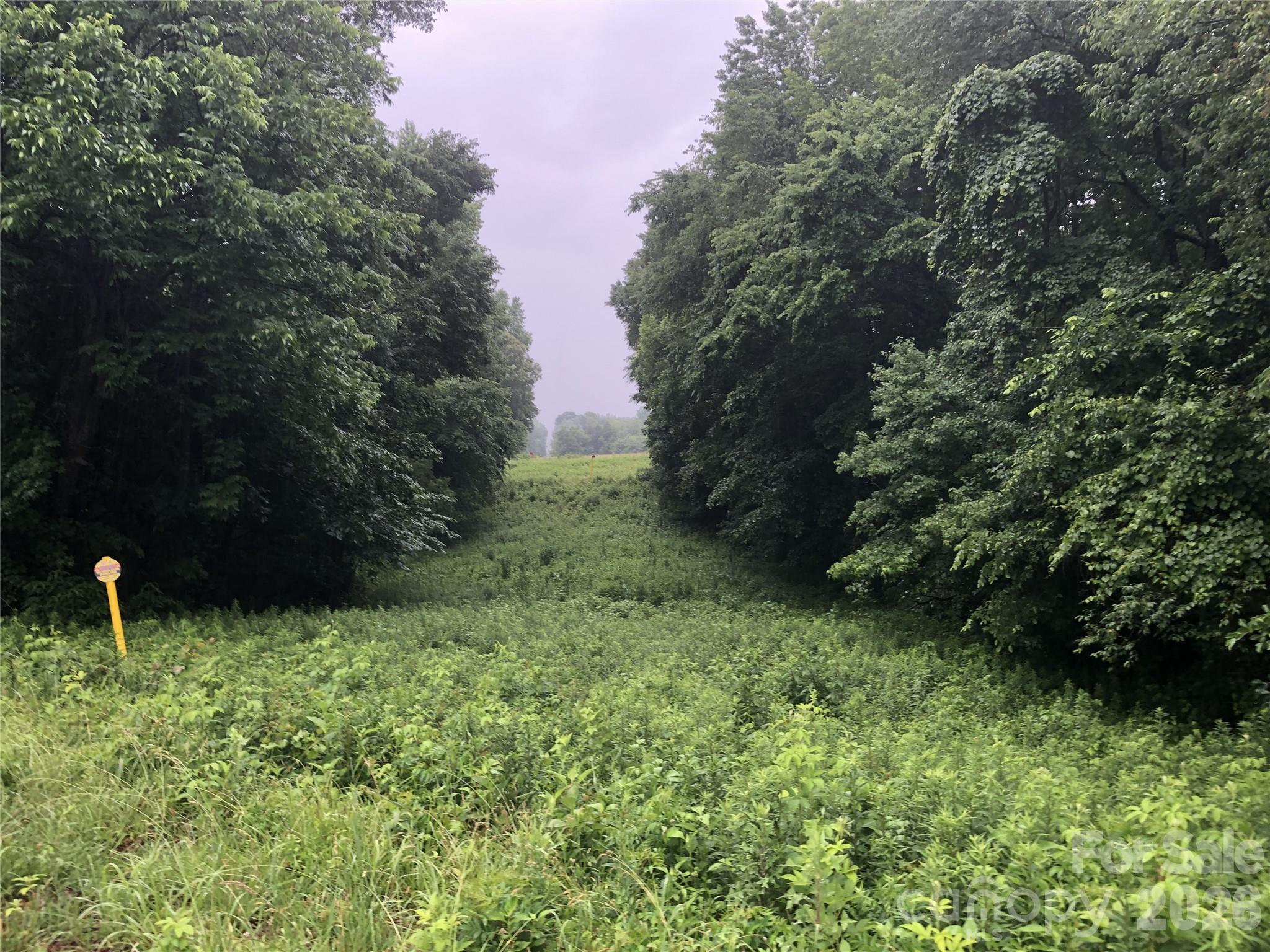 0 Barnhardt Road China Grove, NC 28023 - Photo 1 of 7
