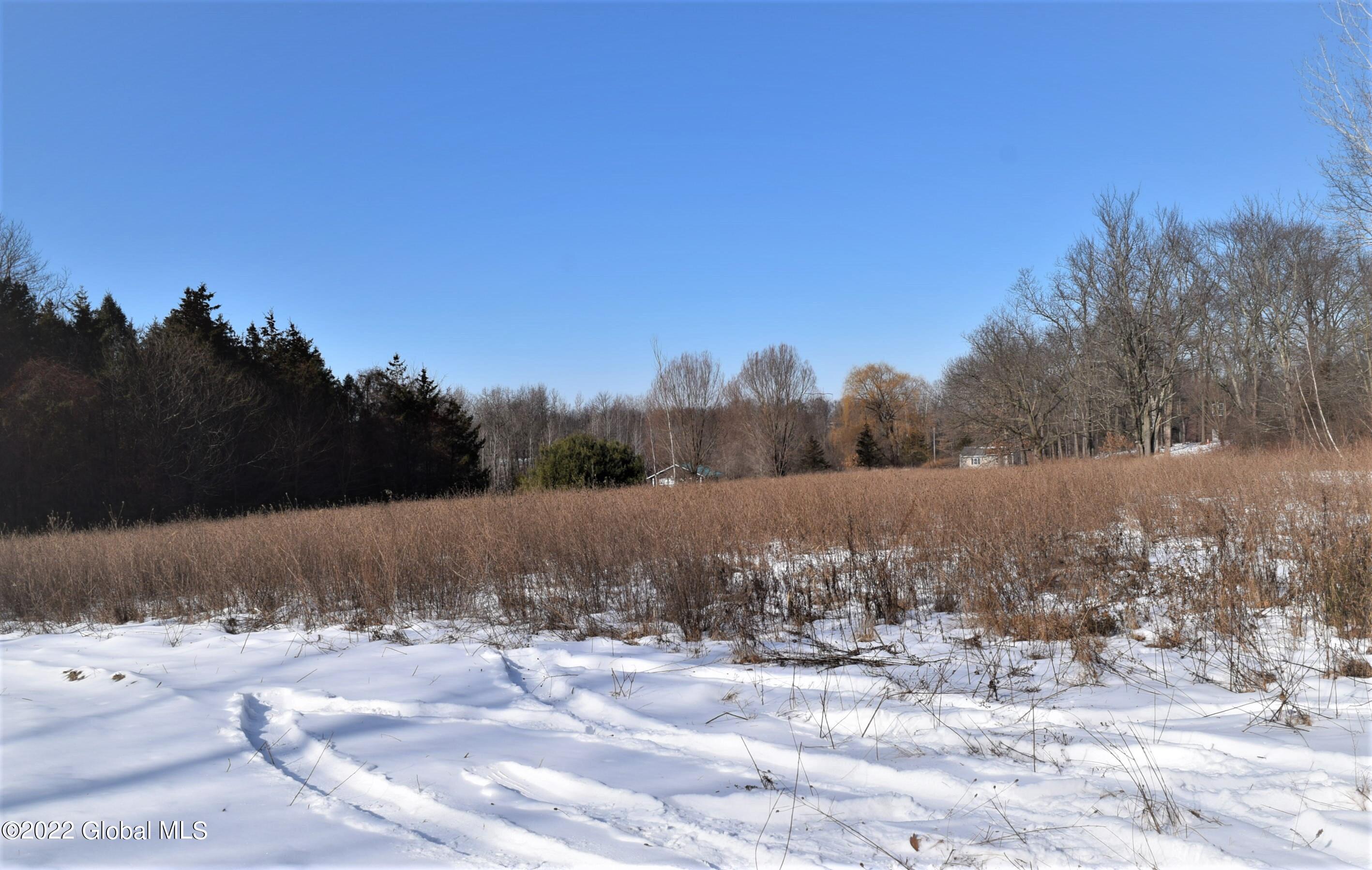500 Knickerbocker Road Schodack, NY 12156 - Photo 21 of 24 DSC_1698 (2)