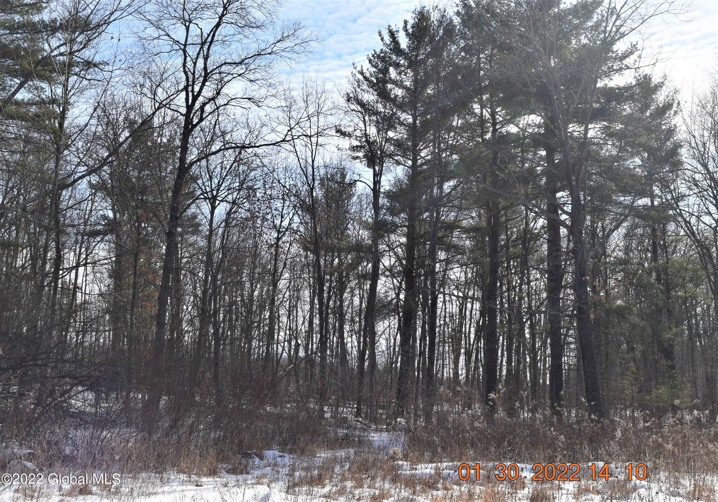 500 Knickerbocker Road Schodack, NY 12156 - Photo 22 of 24 DSC_1696 (2)