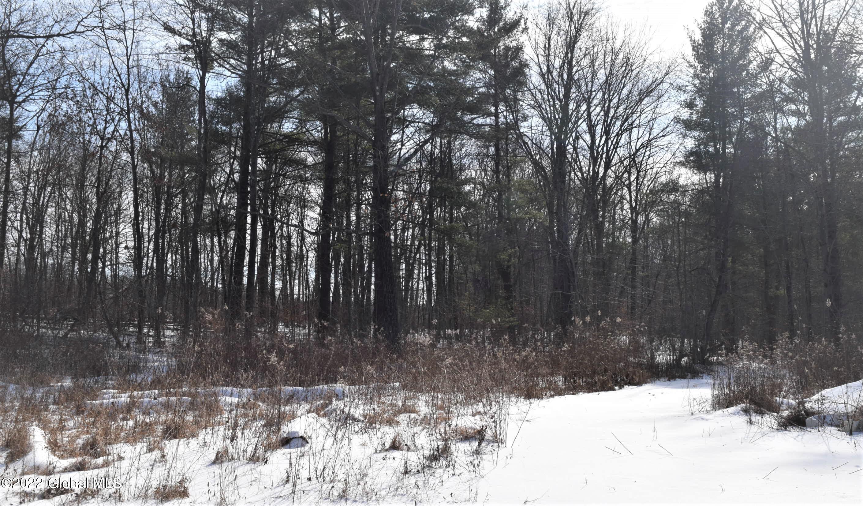 500 Knickerbocker Road Schodack, NY 12156 - Photo 23 of 24 DSC_1697 (2)