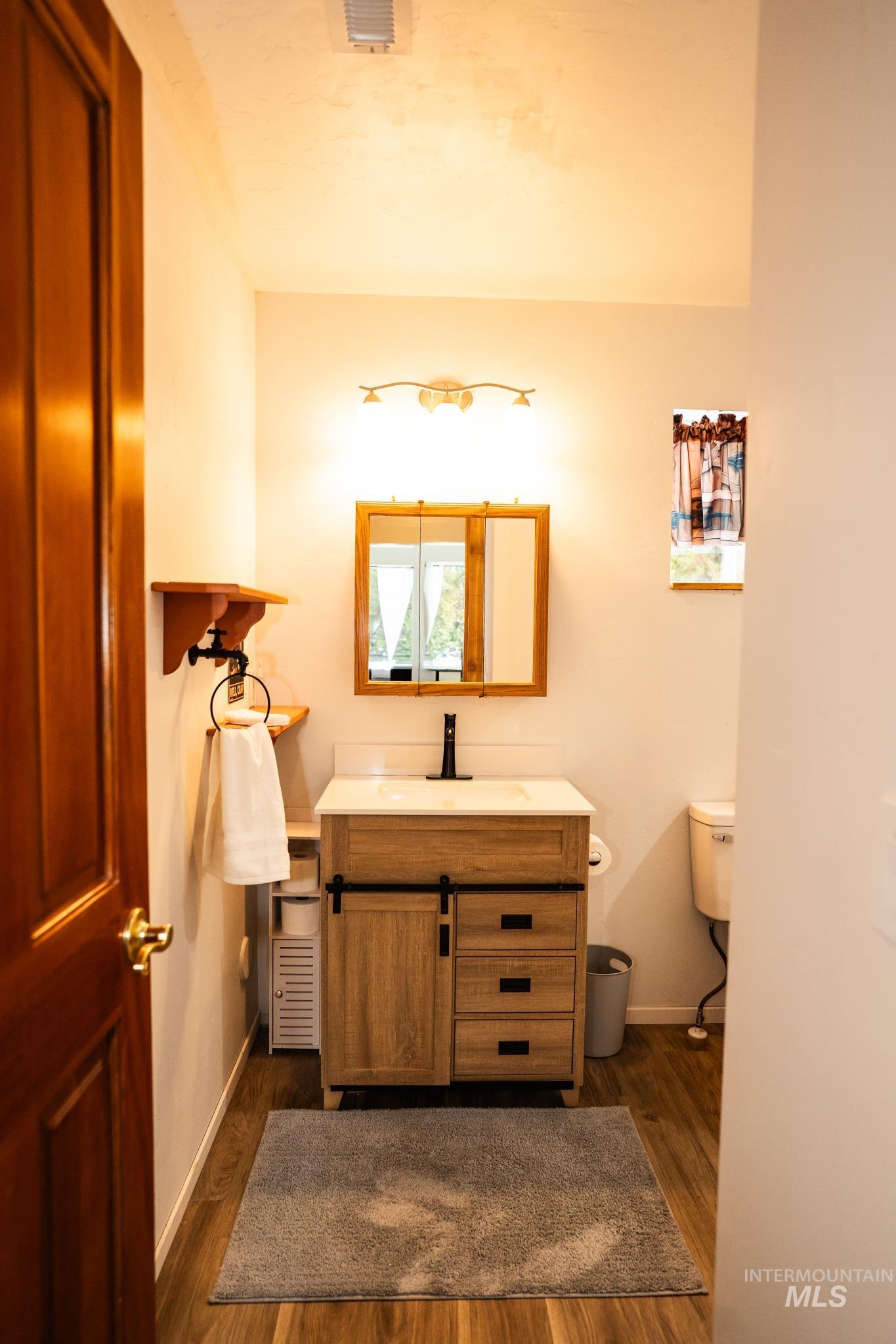 22 West Prospectors Drive Cascade, ID 83611 - Photo 16 of 25 Half bathroom with vanity and dark wood-style floors