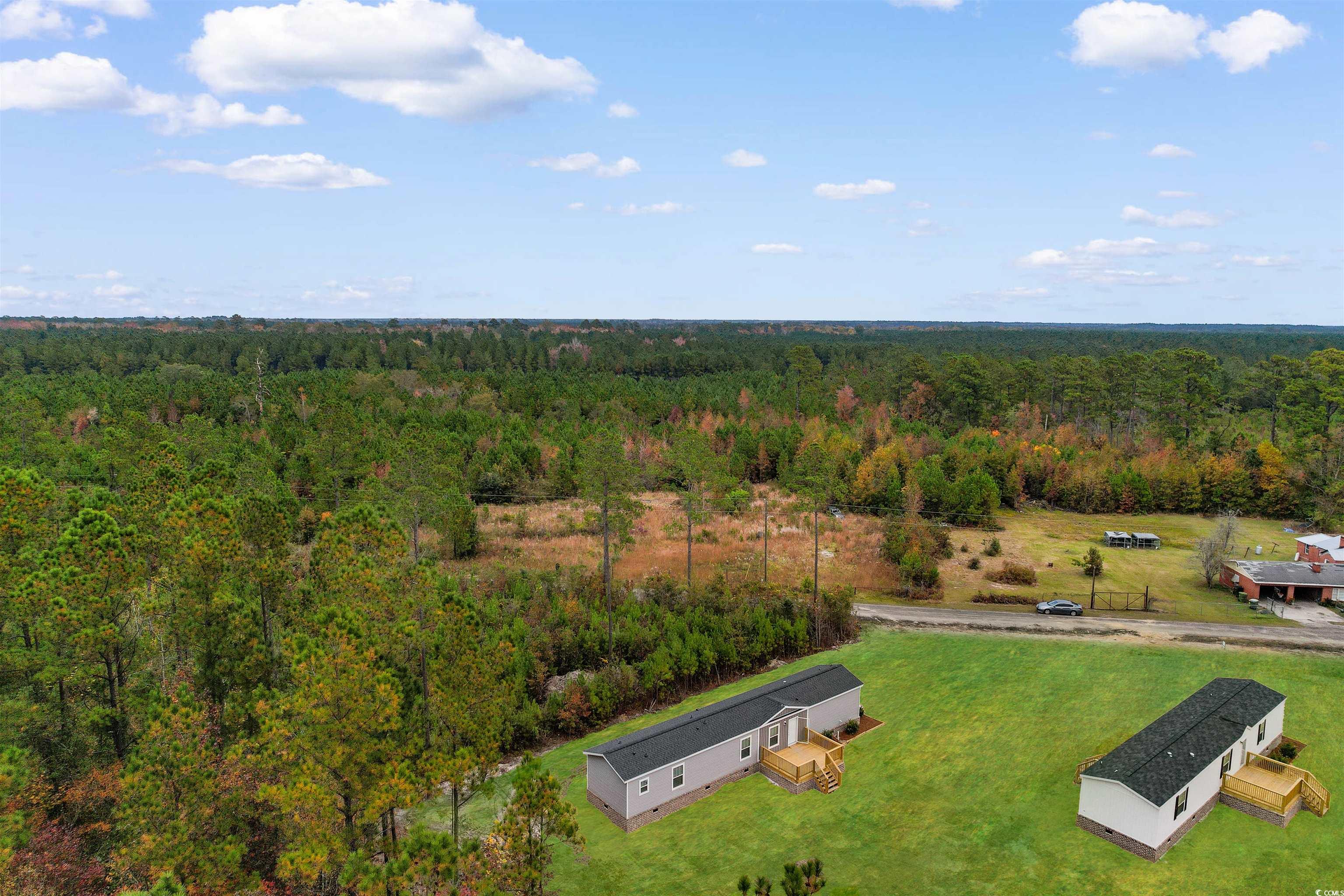 141 Feather Drive Georgetown, SC 29440 - Photo 24 of 34 View from above of property featuring a forest