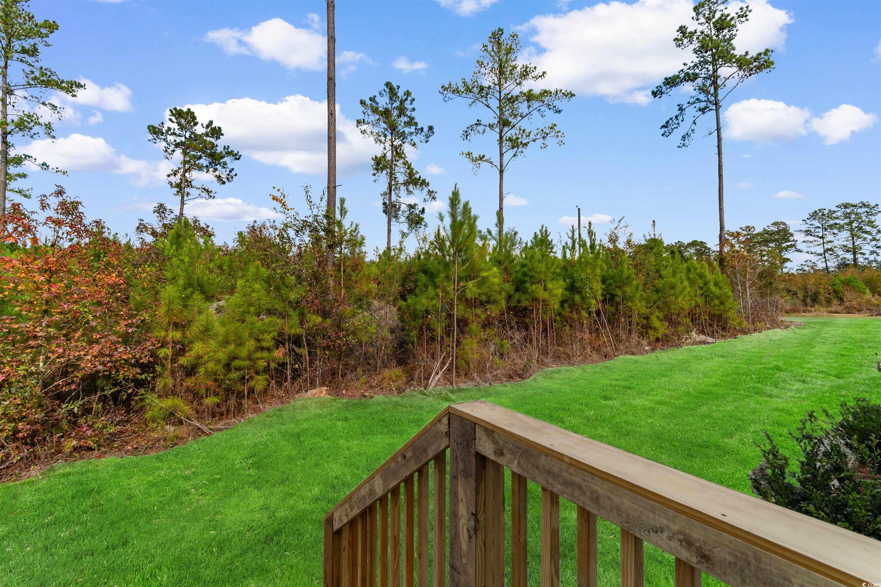 141 Feather Drive Georgetown, SC 29440 - Photo 8 of 34 View of grassy yard