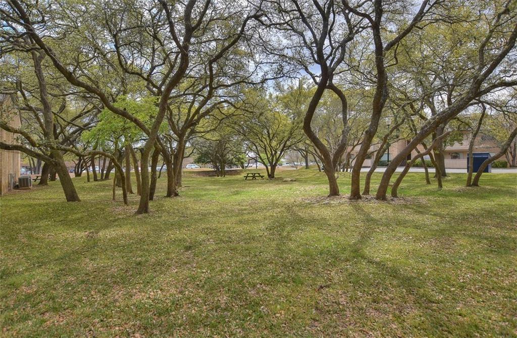 8210 Bent Tree Road, Unit 136 Austin, TX 78759 - Photo 16 of 20 View of green lawn