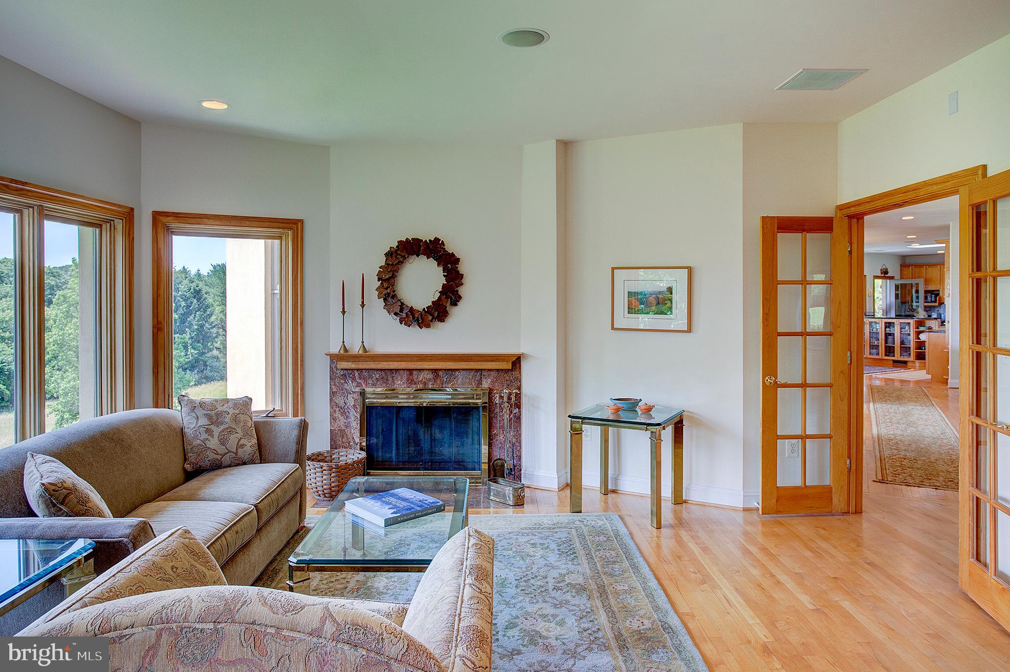 20781 Unison Road Round Hill, VA 20141 - Photo 21 of 64 Library with fireplace