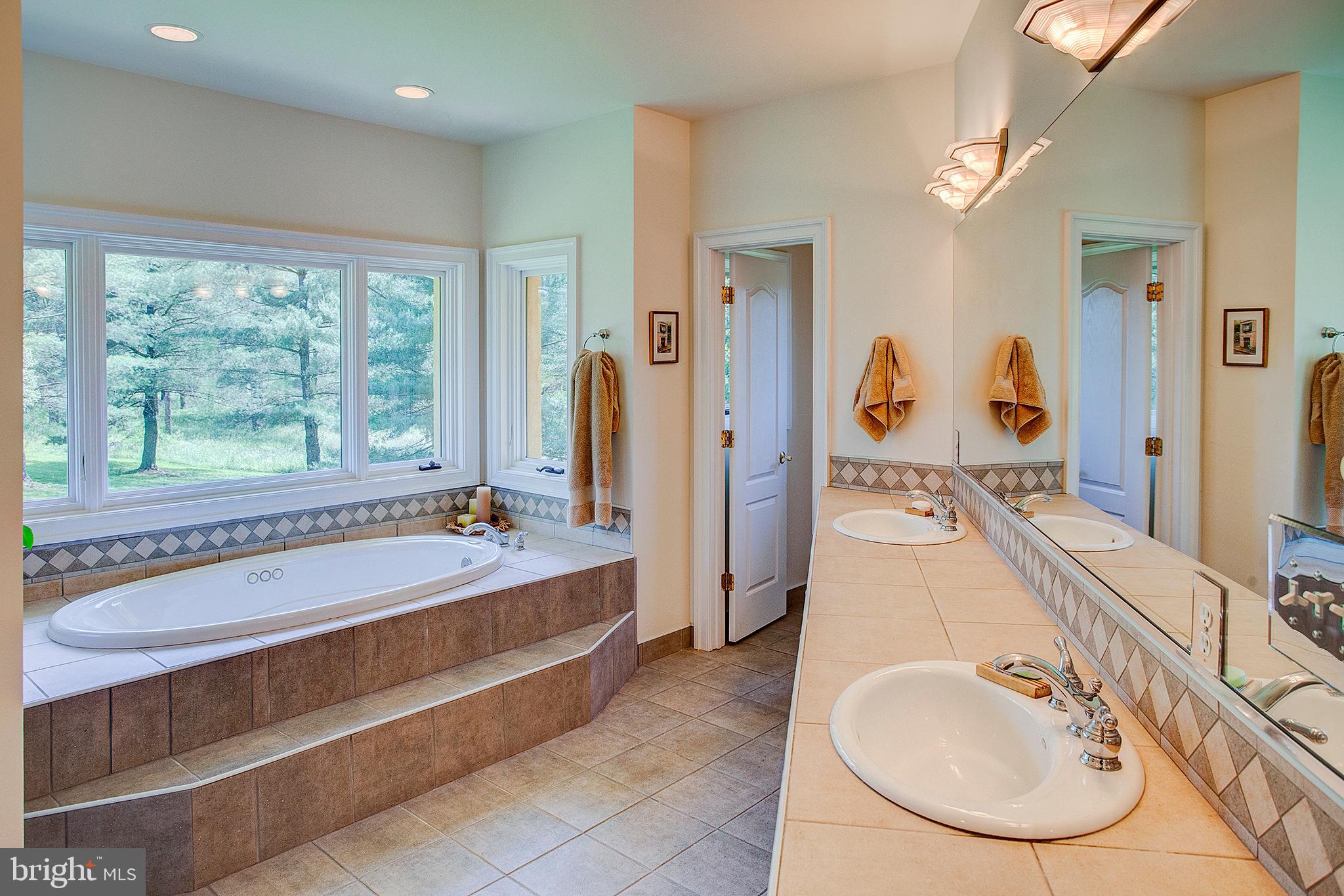 20781 Unison Road Round Hill, VA 20141 - Photo 27 of 64 Master bathroom