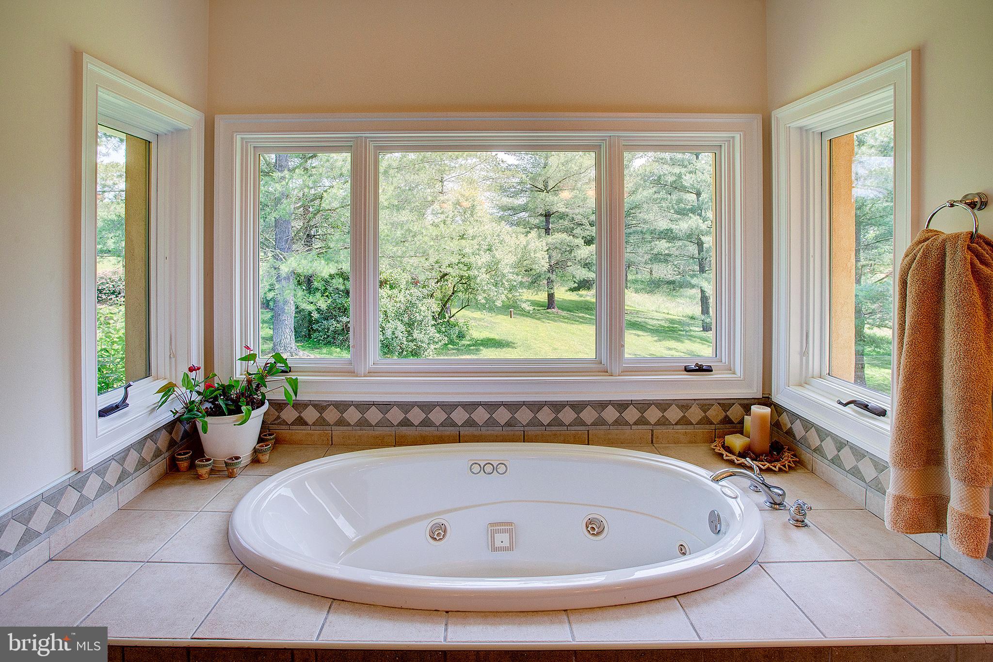 20781 Unison Road Round Hill, VA 20141 - Photo 28 of 64 Master jetted tub