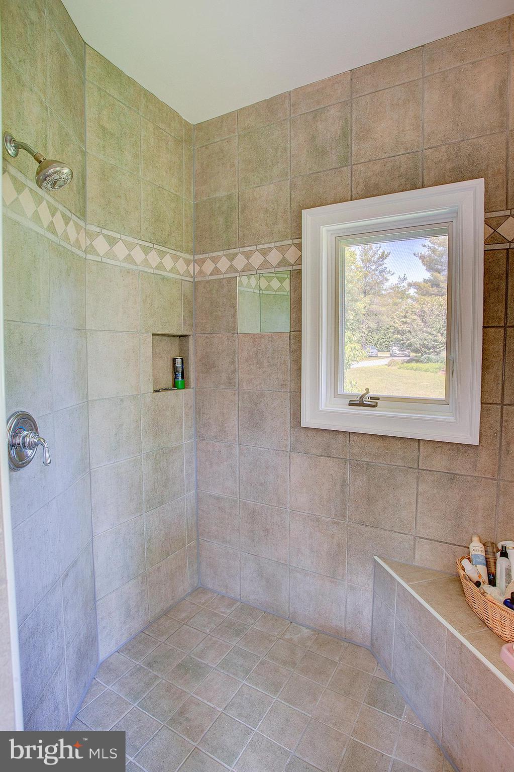 20781 Unison Road Round Hill, VA 20141 - Photo 29 of 64 Master walk in spa shower