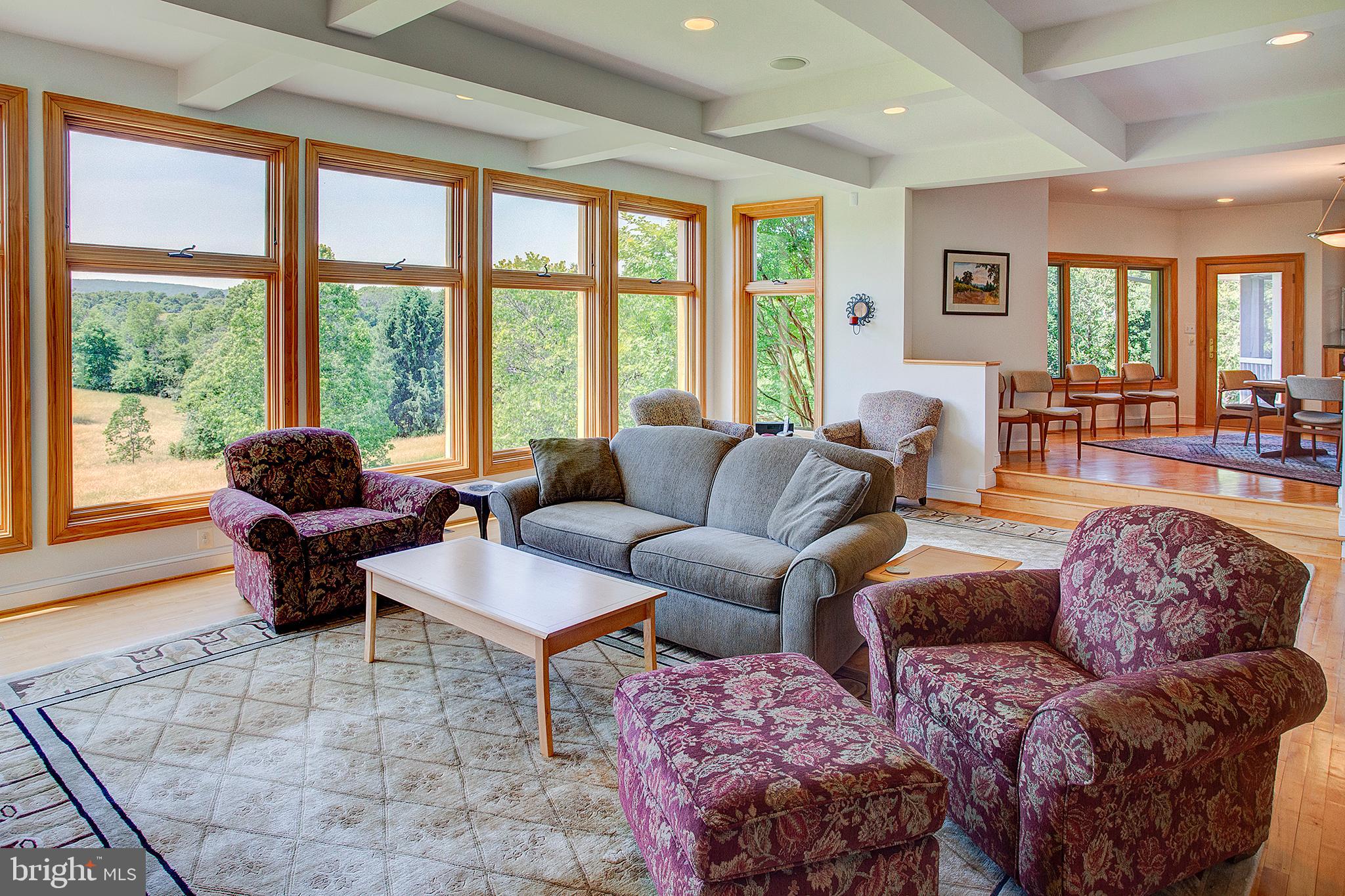 20781 Unison Road Round Hill, VA 20141 - Photo 5 of 64 Coffered ceiling in the family room