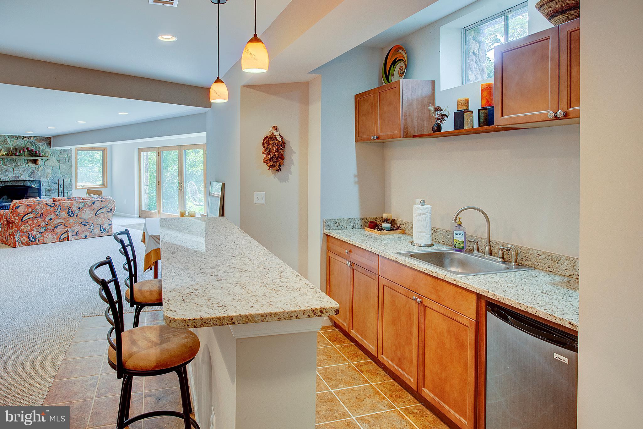 20781 Unison Road Round Hill, VA 20141 - Photo 42 of 64 Lower level bar area
