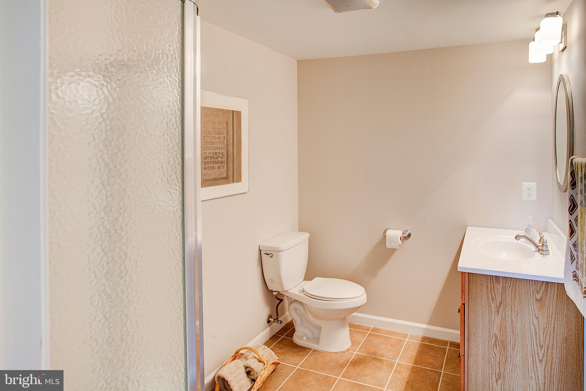 20781 Unison Road Round Hill, VA 20141 - Photo 45 of 64 Lower level full bath