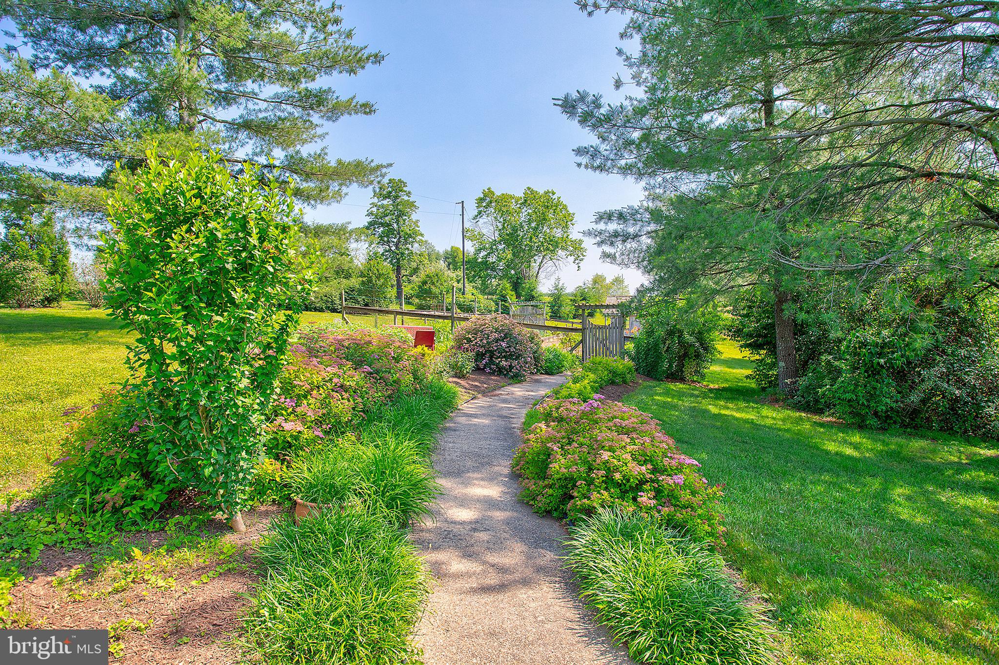 20781 Unison Road Round Hill, VA 20141 - Photo 54 of 64 Path to the garden