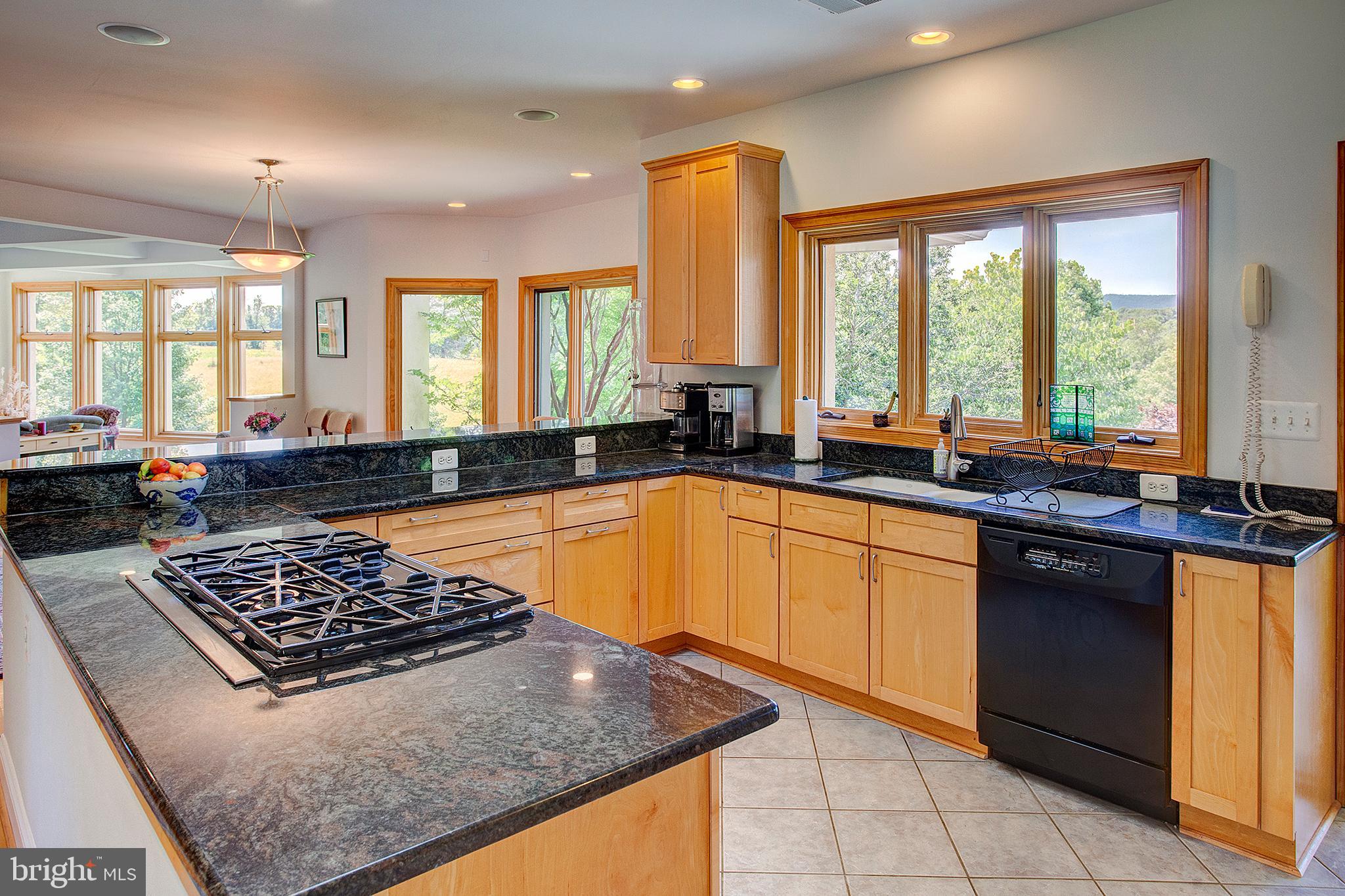 20781 Unison Road Round Hill, VA 20141 - Photo 10 of 64 Gourmet kitchen with gas cooktop and double ovens