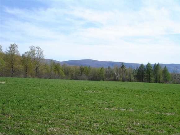Lot#2 - Overlook Road Manchester, VT 05255 - Photo 1 of 1 Gallery Image 1