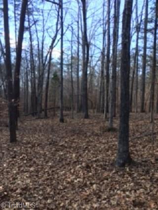 Parcel B Parcel B Dallas Road Reidsville, NC 27320 - Photo 3 of 10