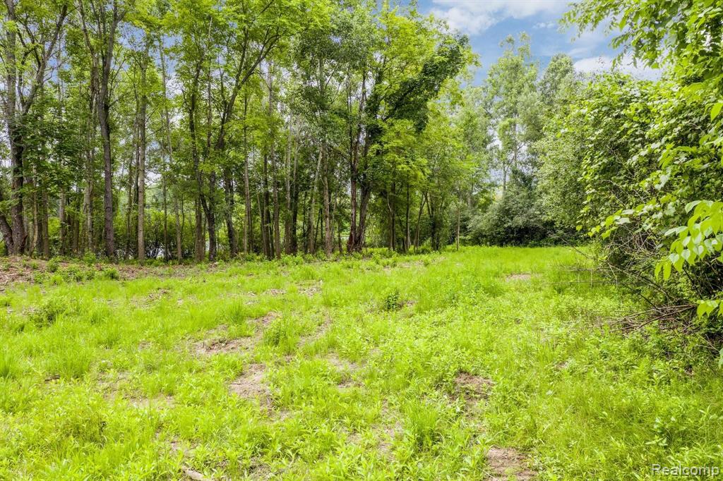 Lot Riviera Riviera Shores Drive Holly, MI 48442 - Photo 12 of 21