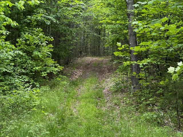 46 Dore Hill Road Athens, ME 04912 - Photo 3 of 14 IMG_5115