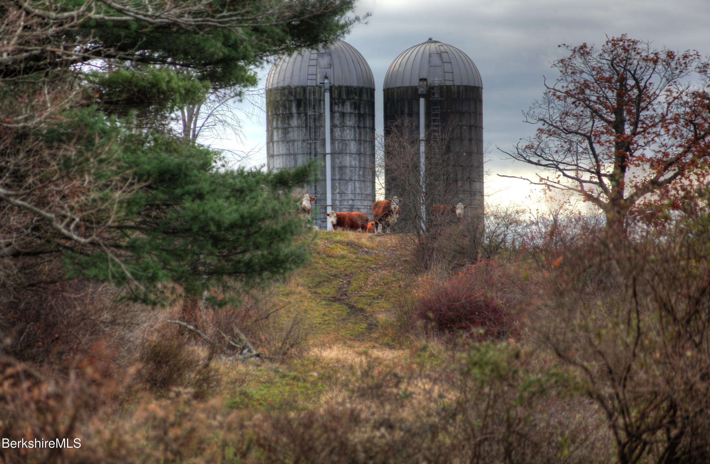 1130 E Road Richmond, MA 01254 - Photo 12 of 53 a view of a small house with yard and tree s