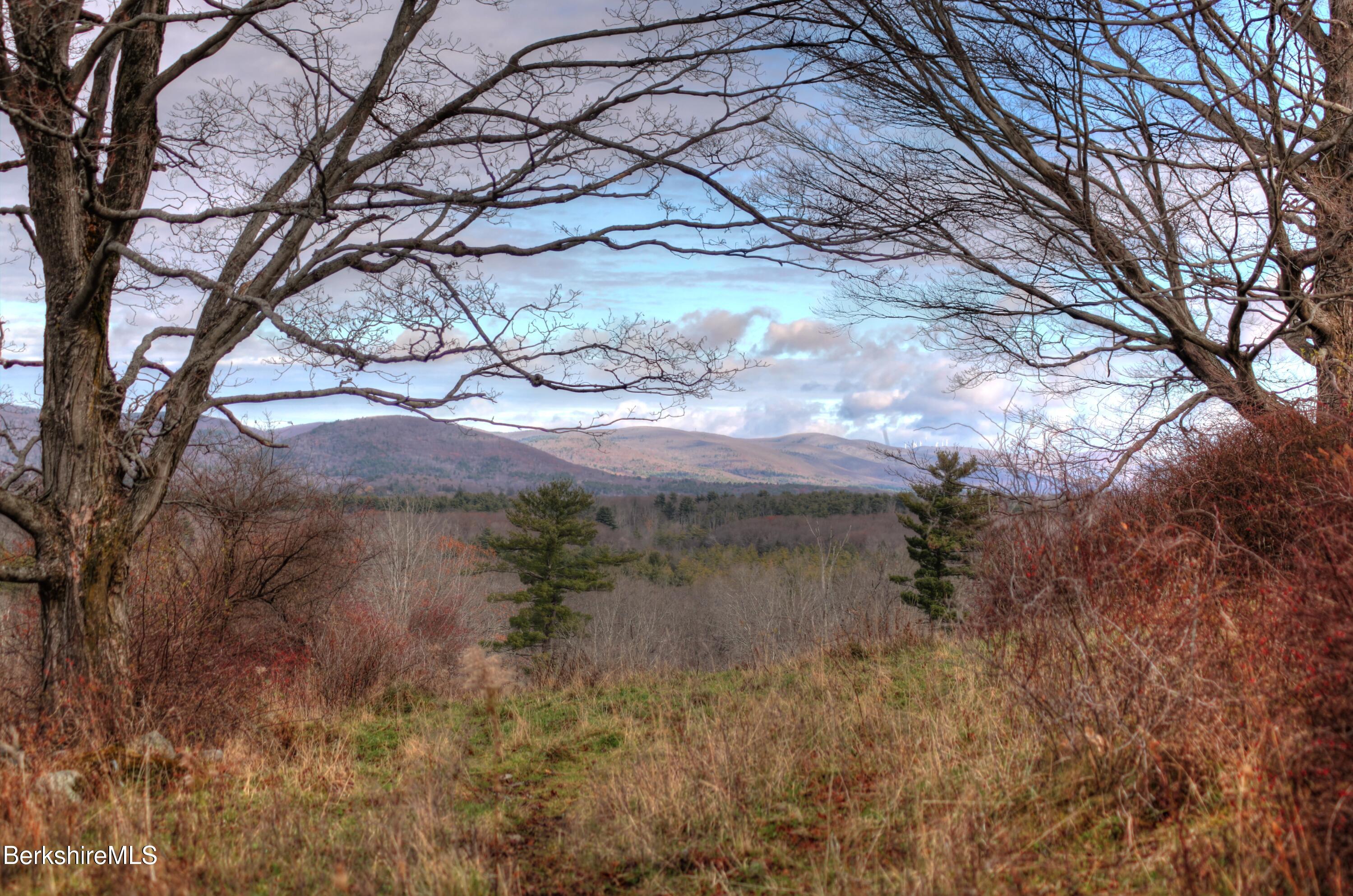 1130 E Road Richmond, MA 01254 - Photo 30 of 53 a view of a yard with a tree