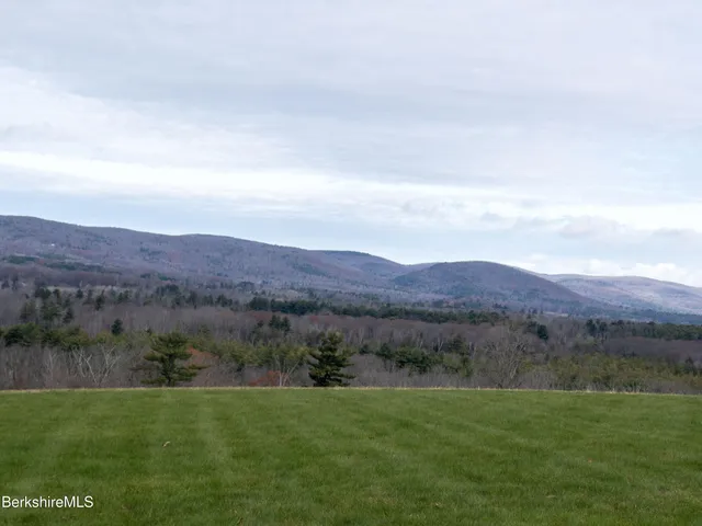 an aerial view of green landscape with trees