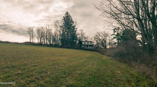 a view of a yard with a tree