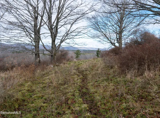a view of an outdoor space and a yard